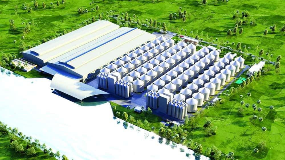 Thiết kế nhà máy gạo