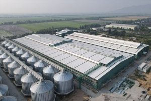 Nhà máy gạo kết hợp silo bảo quản hiện đại
