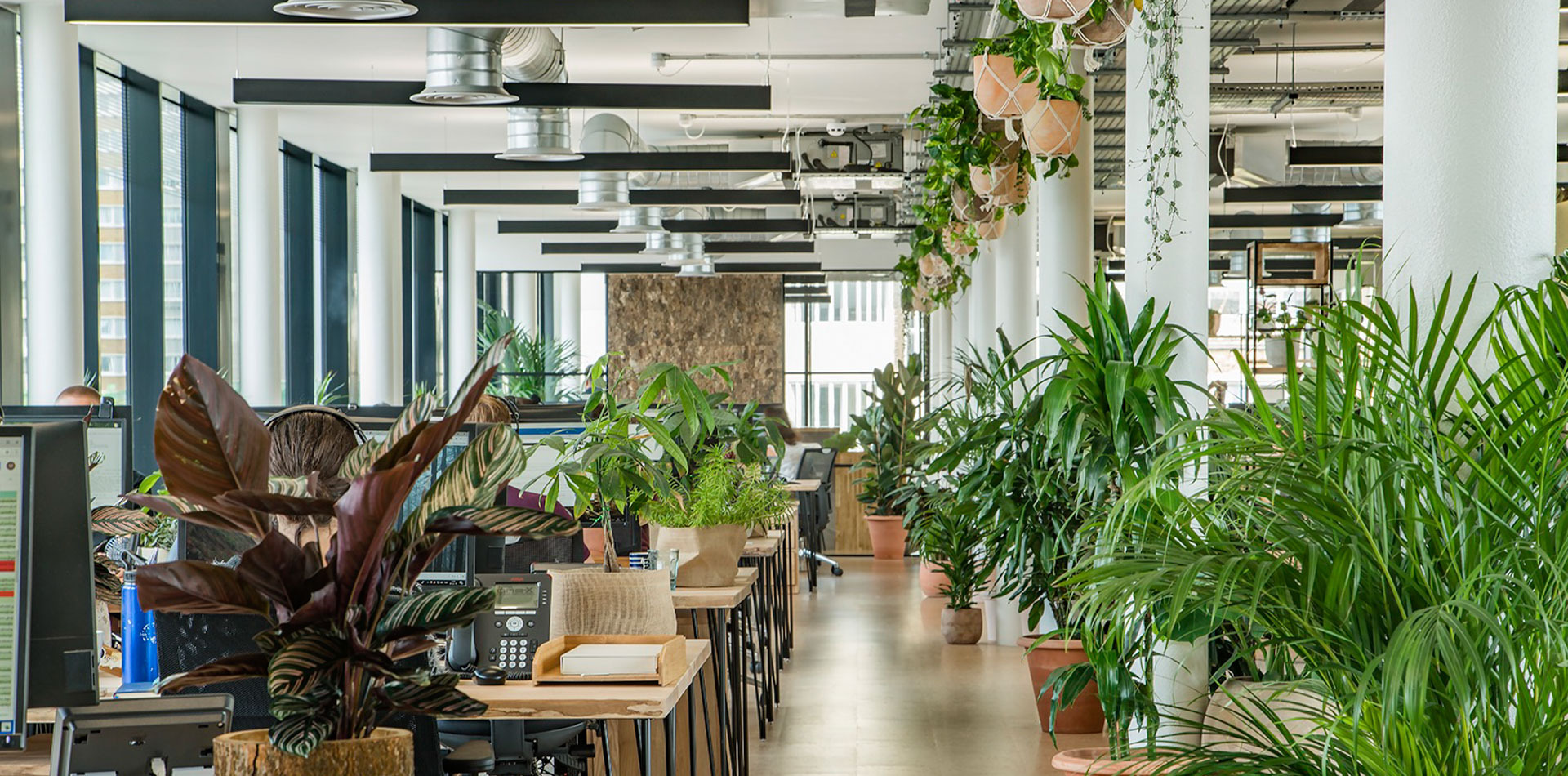 Thiết kế nội thất văn phòng