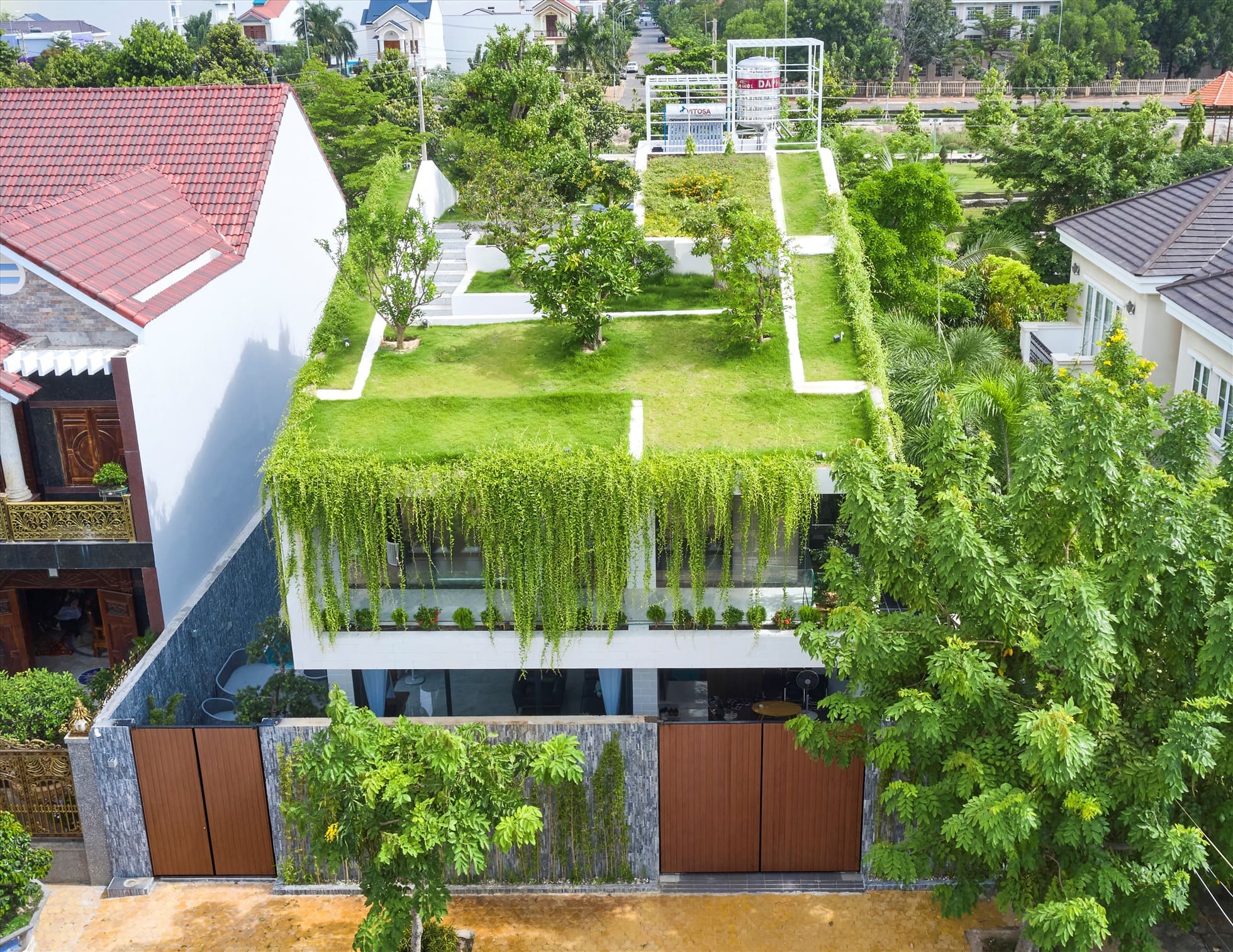 Nhà mái xanh phủ cỏ và cây leo tự nhiên