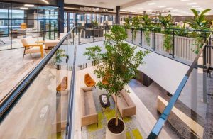 Xu hướng thiết kế văn phòng xanh