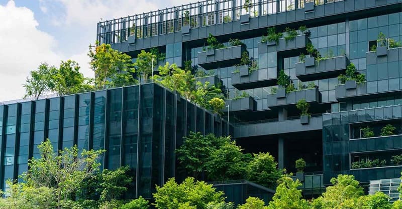 Ánh sáng tự nhiên và cây xanh là hai yếu tố kiến tạo văn phòng xanh bền vững.